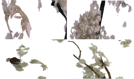 微信公眾號(hào)圖片