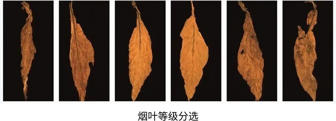 微信公眾號圖片