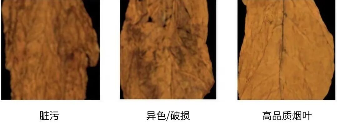 微信公眾號圖片